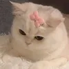 thanhmaria394