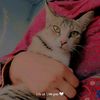 shettu08