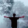 user29505722981563sefan