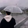 chipiu455