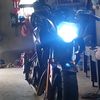 denis.kontol
