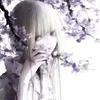 user1202035328673