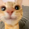 lyah_0191