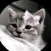 jionlisa09