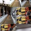 sham_leo72