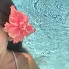 taily_clean
