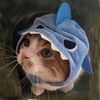 oktoo_134