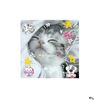 cats_home228