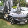 luicho.99