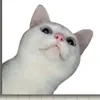 yippeme