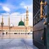 sheeza3263