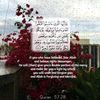 user136177306855