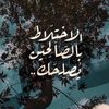 mohammed.adel9076