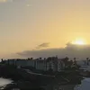 bananas123_8