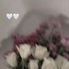 user4168367693101