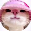 chinsweety