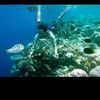 usep.hermawan54