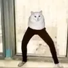 dangwd_