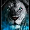 mindovermatter838
