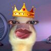 user769113076