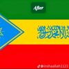 sebah.ebrahim2