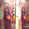 adlfoxcv