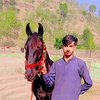 moheen.malik5