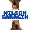 Wilsar Roblox