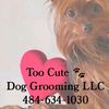 toocutedoggrooming