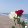 eylem6.3