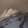 casper.visser1