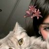 ms_kpll