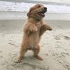 being_beige