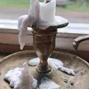 cappogubbenjrgen