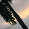 cvam__2