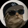 alpha._force