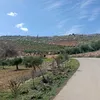 riadkourxalo
