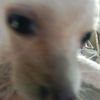 pancho22._
