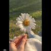 asmasalman08