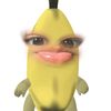 oja09ja