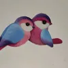 oiseau464