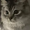 charlie.092288