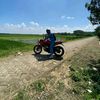 aripinn