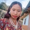 bipanabegha