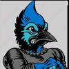 jaybird0251