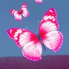 user9570231237881