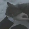 mezhduu