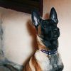 mali_dakota