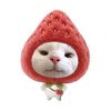 feby_0ok