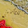 atei241